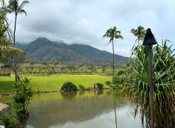 Maui